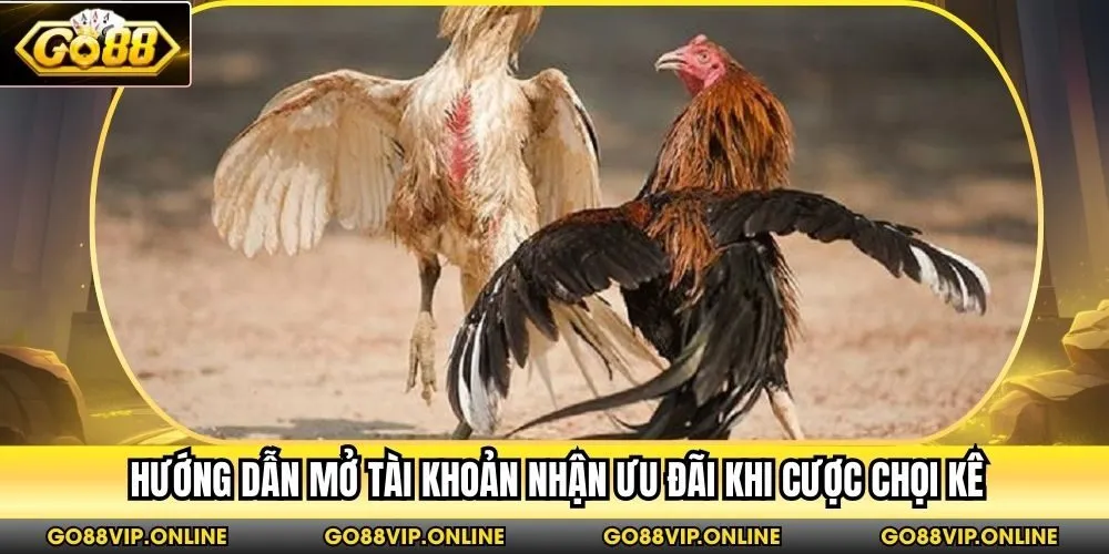 Hướng dẫn mở tài khoản nhận ưu đãi khi cược chọi kê