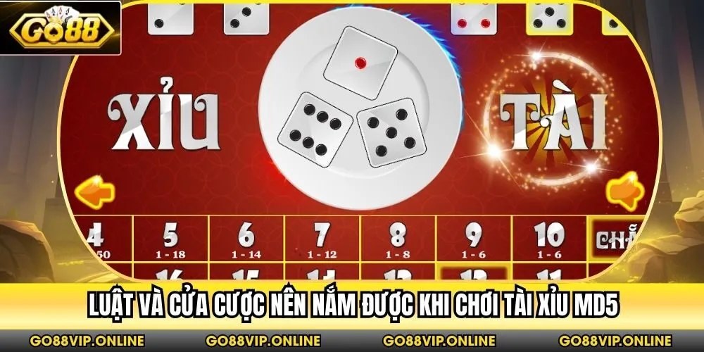 Luật và cửa cược nên nắm được khi chơi tài xỉu MD5